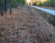 637 Tremble Branch Road, Camden image