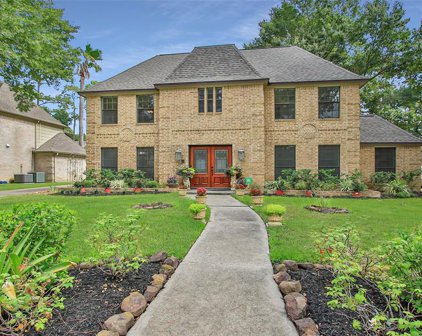14619 Forest Lodge Drive, Houston