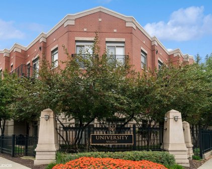 1451 S Halsted Street Unit #2A, Chicago