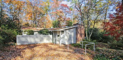 7218 Stafford Rd, Alexandria