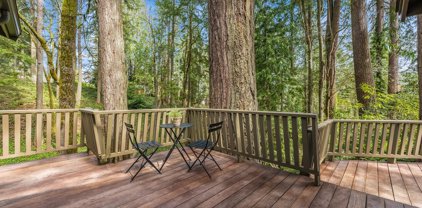 391 SW Forest Drive, Issaquah