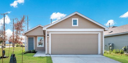 14533 Payton Flats, San Antonio