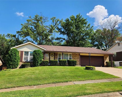 4378 Contessi Manor  Court, St Louis