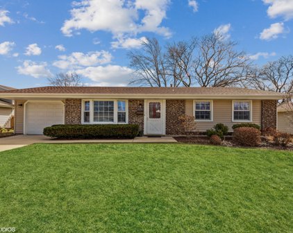 825 Sienna Drive, Schaumburg
