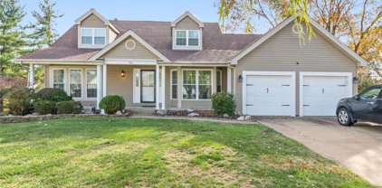 716 Wren Path  Court, Ellisville