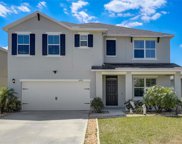 16220 Yelloweyed Drive, Clermont image