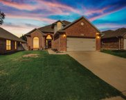 8737 Sunset Trace  Drive, Fort Worth image