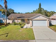 12708 Trucious Place, Tampa image