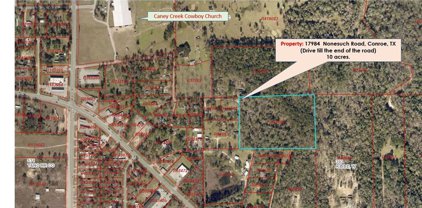 17984 Nonesuch Road, Conroe
