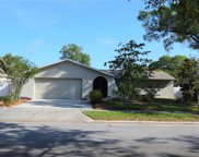 107 Timber Circle, Safety Harbor image