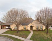 3605 Briscoe Court, Pearland image