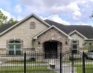 142 Soren Lane, Houston image