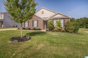 11461 Cedar Glades Drive, Vance image
