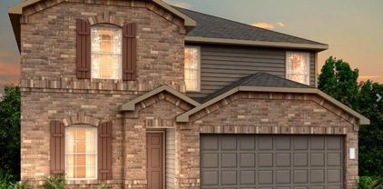 116 Chestnut Gate Drive, Willis
