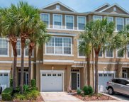 3023 Pointeview Drive, Tampa image