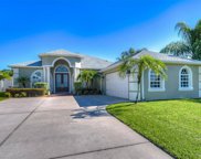 23805 Peace Pipe Court, Lutz image