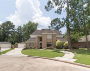 3111 Silver Glade Drive, Houston image