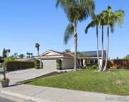 621 Palmbark Street, Vista image