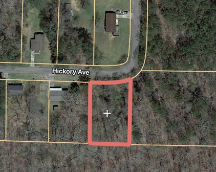 0.48 ACRES Hickory Avenue, Haleyville