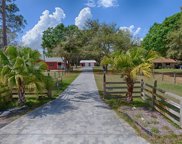 28901 Sandy Lane, Tavares image