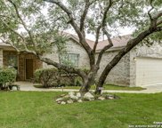 8850 Feather Trail, Helotes image