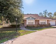 184 Coker Street, Trinity image