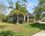 5607 Turtle Ridge Drive, Lutz image