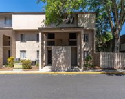 7505 Pitch Pine Circle Unit 122, Tampa image
