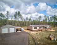 22063 Smith Road, Bay Minette image