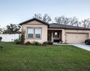 16379 Blooming Cherry Drive, Groveland image