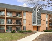 1052 N Mill Street Unit #101, Naperville image