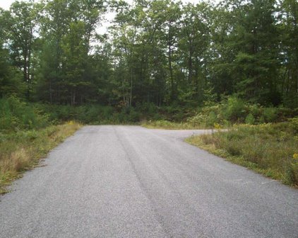 Lot6 OAK WOODS Drive, Hiram