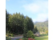 Cedar Valley Road, Gold Beach image