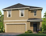 33545 Apricot Tree Court, Wesley Chapel image