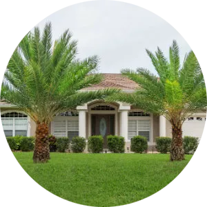 White Jasmine Homes for Sale