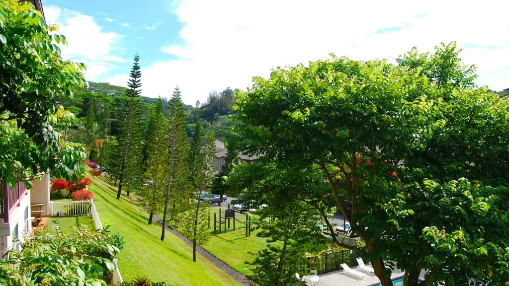 View from a lanai over a community pool and trees in Central Oahu