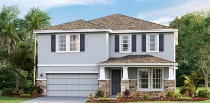 12489 Dora Trail, Parrish