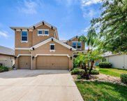 1265 Windy Bay Shoal, Tarpon Springs image
