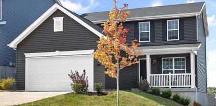 107 Creek Haven Court, Lake St Louis