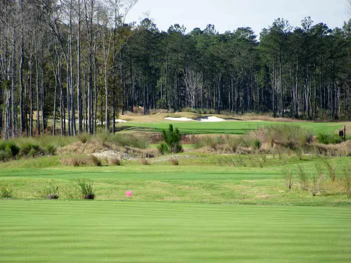 Cape Fear National Brunswick Forest