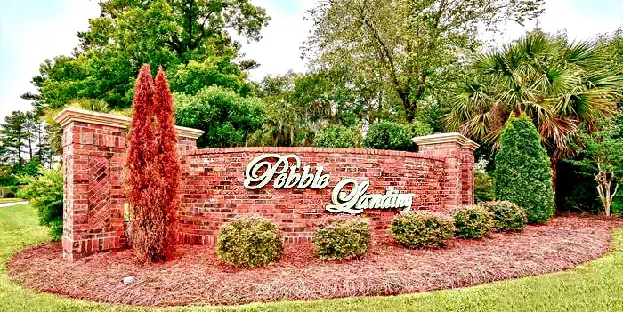 Homes for Sale in Pebble Landing