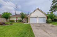 21415 Golden Dove Drive, Spring image