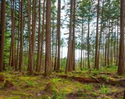 Lot 8 Hayes Road, Bowen Island image