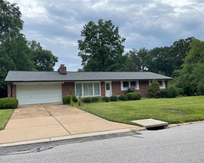 9907 Norcross  Drive, St Louis