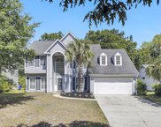 1911 Falling Creek Circle, Mount Pleasant image