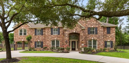 29730 Orchard Grove Drive, Tomball