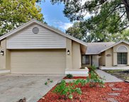 3189 Pine Forest Court, Palm Harbor image