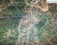 000 WHITE TAIL Trail, Purlear image