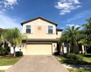 20001 Satin Leaf Avenue, Tampa image
