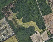 32.59 Acres Forestbrook Rd., Myrtle Beach image